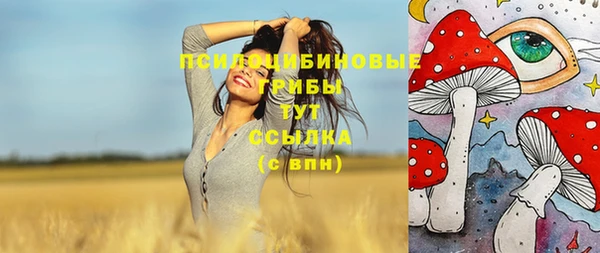 МДПВ Армянск